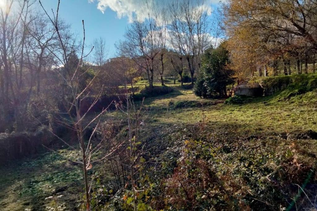 Confort, Fun And Leisure In Douro Rural Space Sande  Bagian luar foto