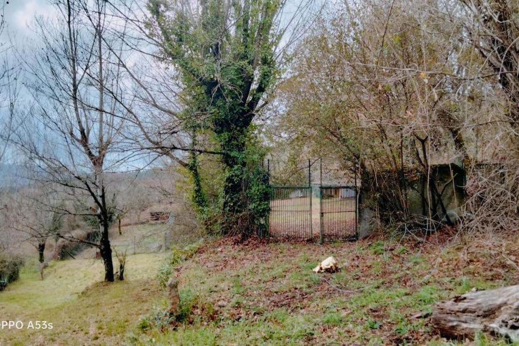 Confort, Fun And Leisure In Douro Rural Space Sande  Bagian luar foto