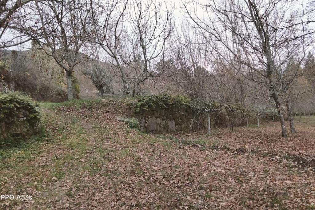 Confort, Fun And Leisure In Douro Rural Space Sande  Bagian luar foto