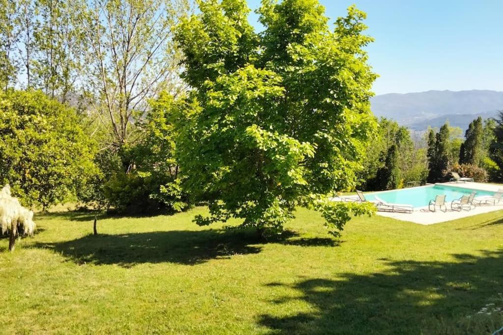 Confort, Fun And Leisure In Douro Rural Space Sande  Bagian luar foto