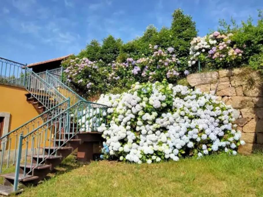 Confort, Fun And Leisure In Douro Rural Space Sande  Bagian luar foto