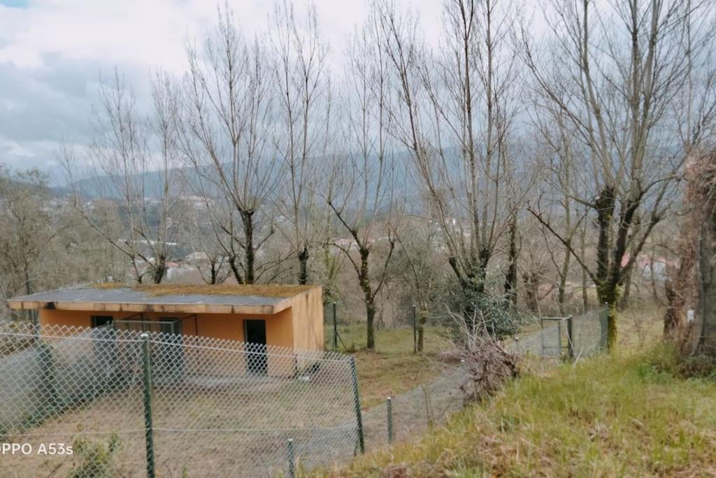 Confort, Fun And Leisure In Douro Rural Space Sande  Bagian luar foto